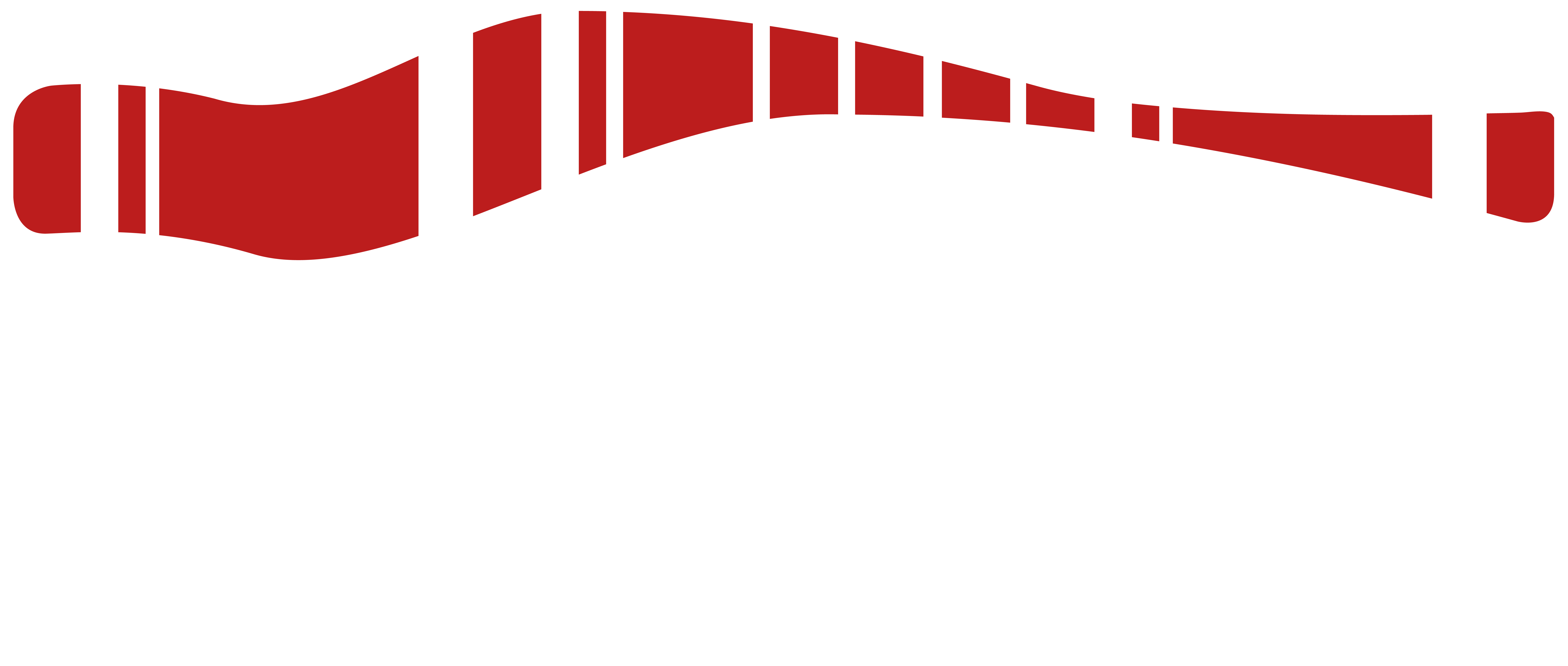 Logo-Bogners